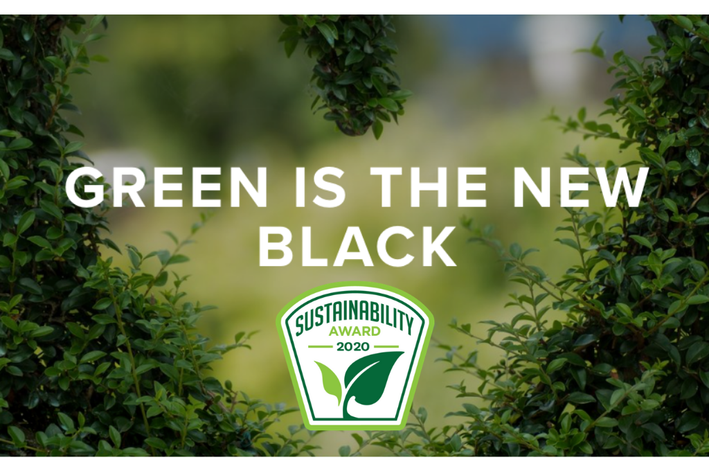 2020 Sustainability Awards green is the new black
