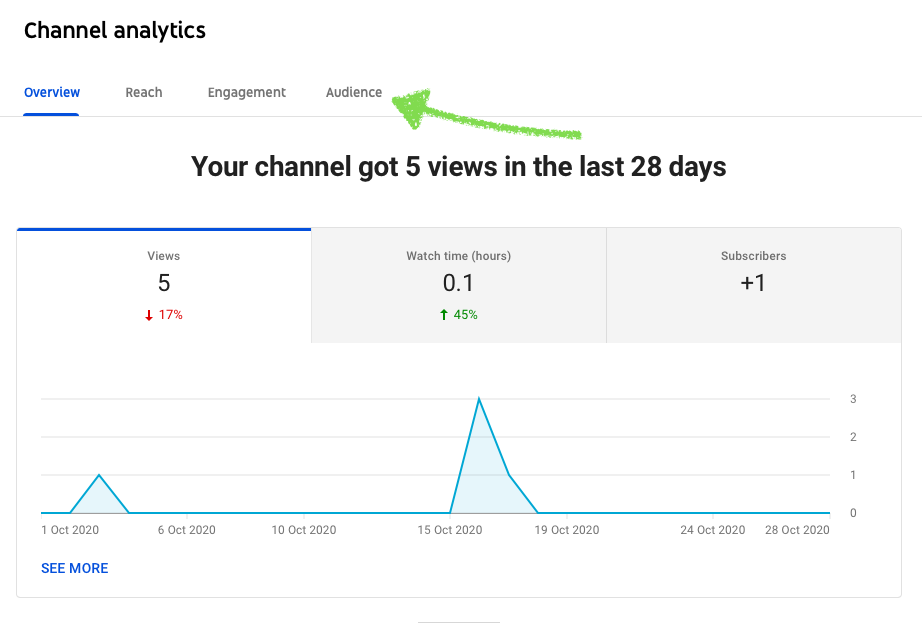 Channel subscriber analytics