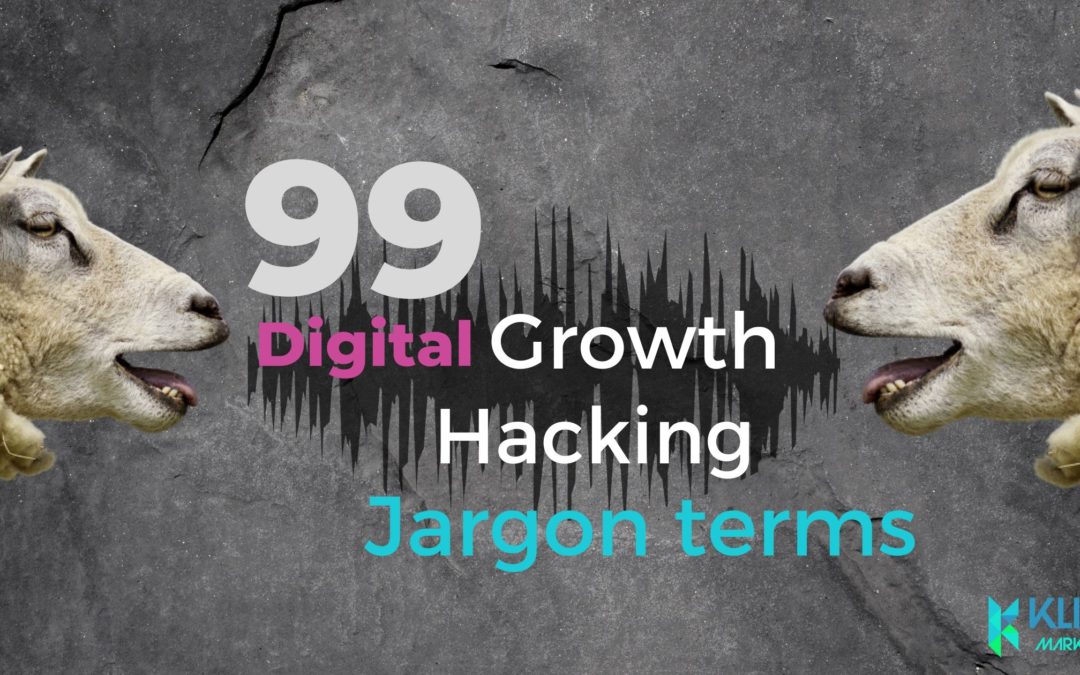 Growth Hacking Jargon Terms