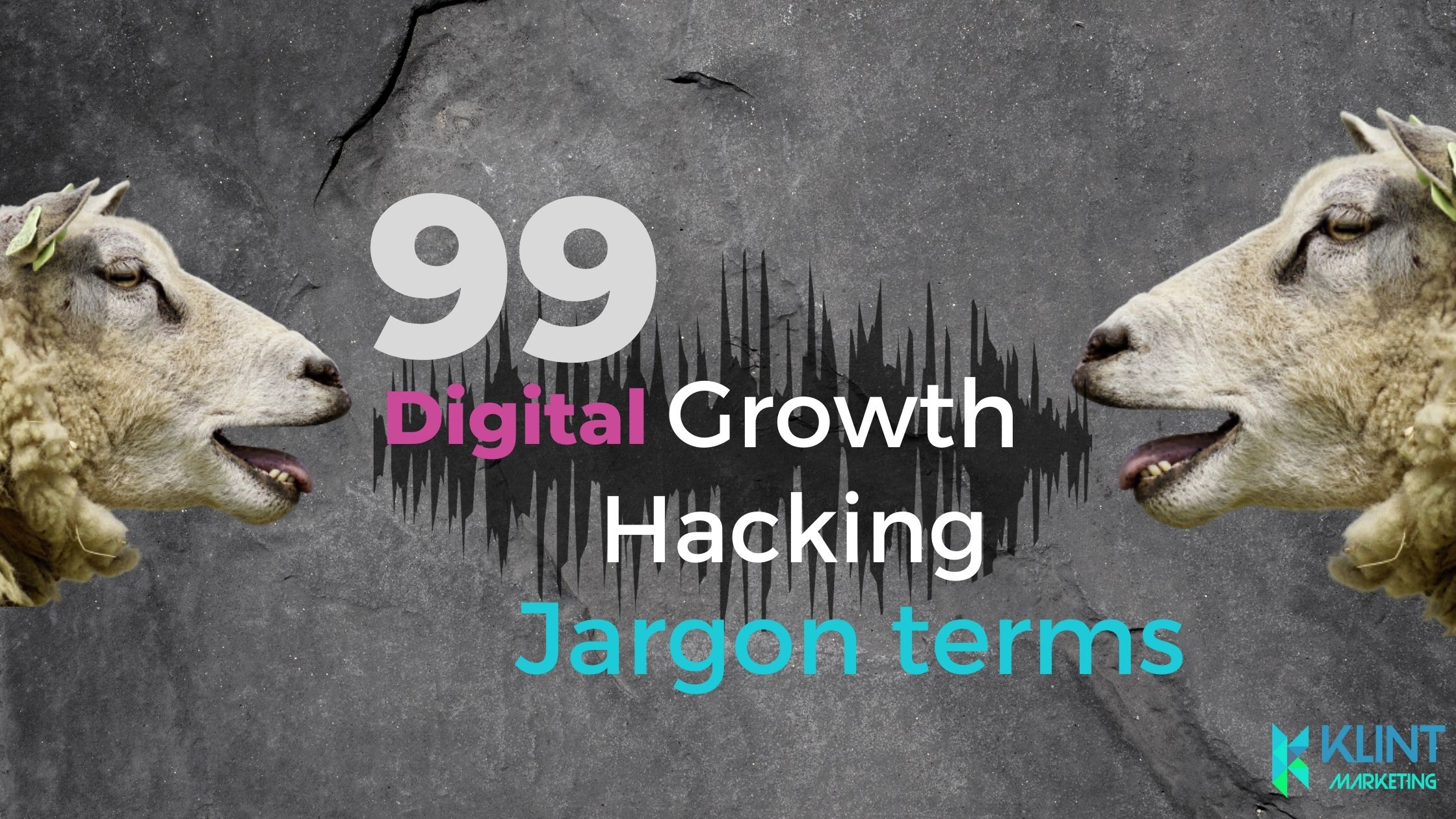 Growth Hacking Jargon Terms
