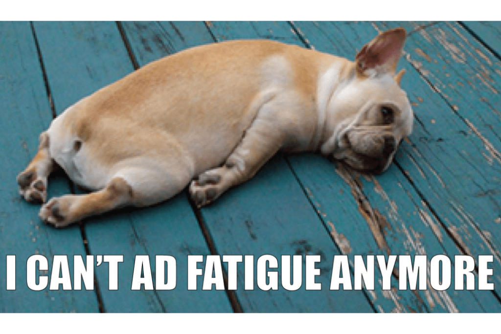 a stock photo of a sleeping dog with the text "i can't ad fatigue anymore" overlaid