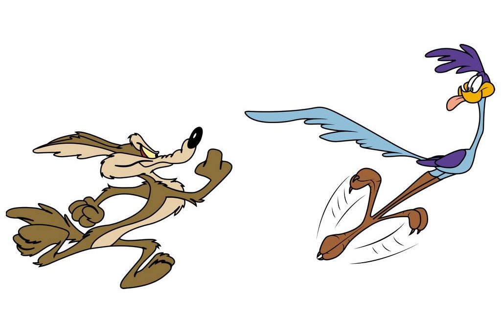 Illustration of Coyote chasing Roadrunner. The scene from Looney Tunes Cartoon.