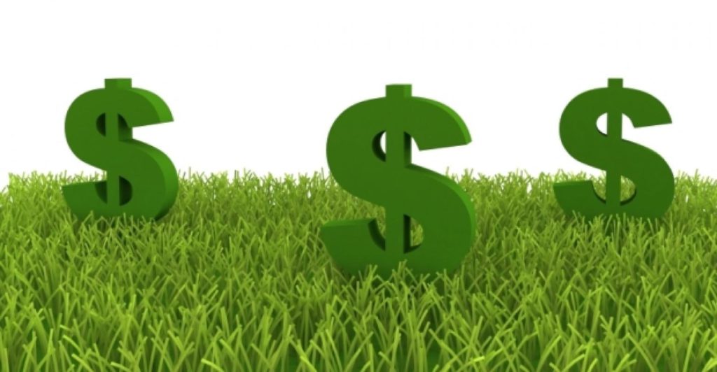 Image of grass with three dollar signs on top.