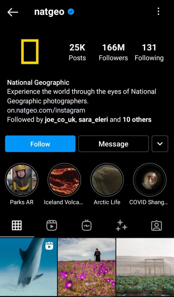 Screenshot of National Geographic's Instagram page pros and cons of instagram